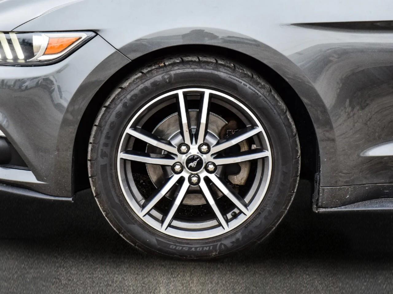 2017 Ford Mustang EcoBoost 2dr Fastback Photo