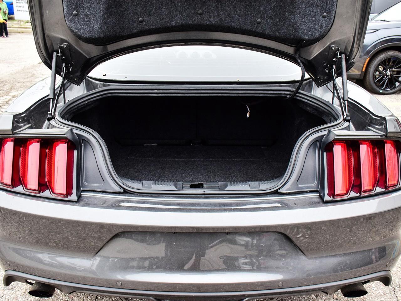 2017 Ford Mustang EcoBoost 2dr Fastback Photo