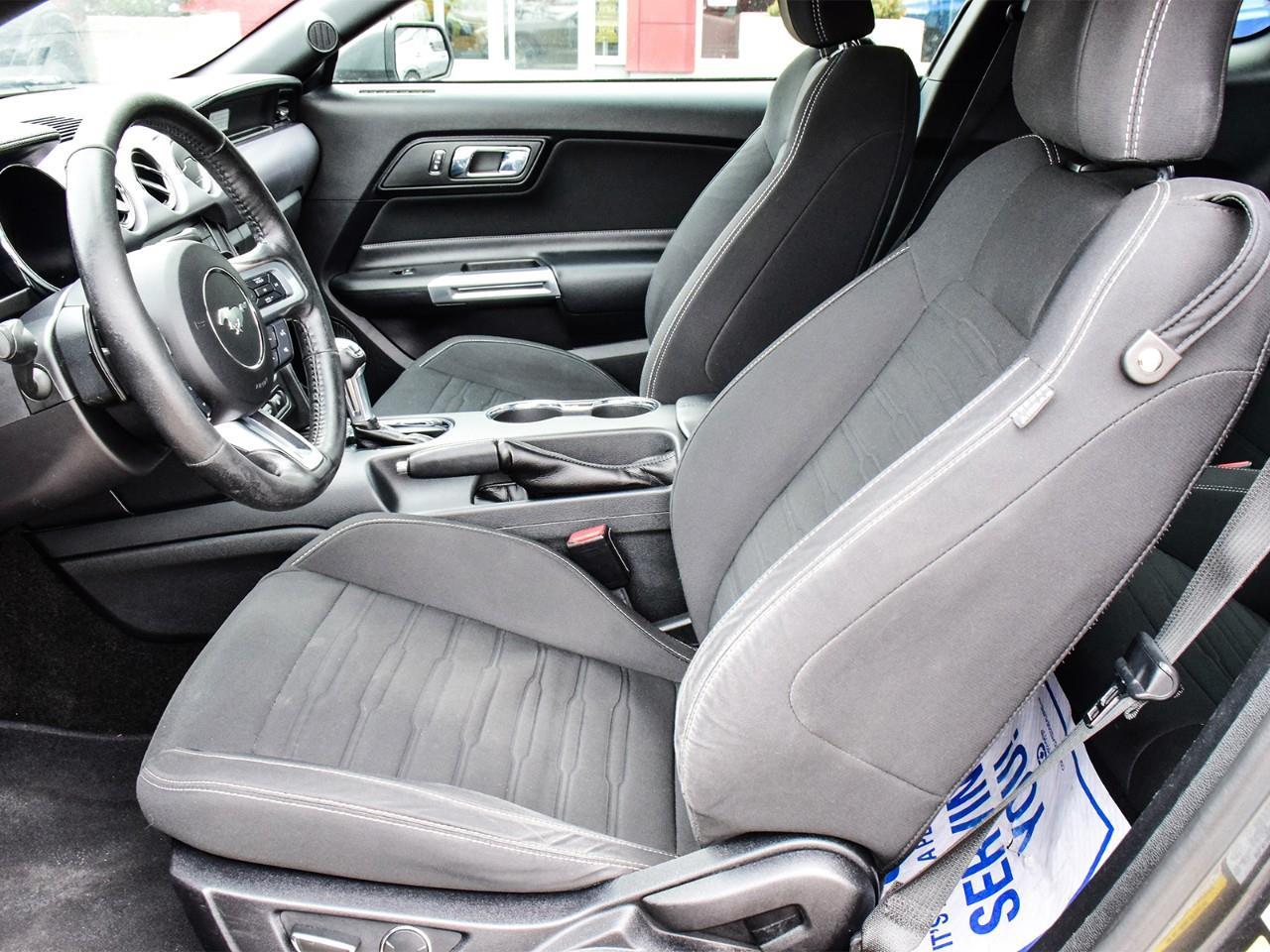 2017 Ford Mustang EcoBoost 2dr Fastback Photo
