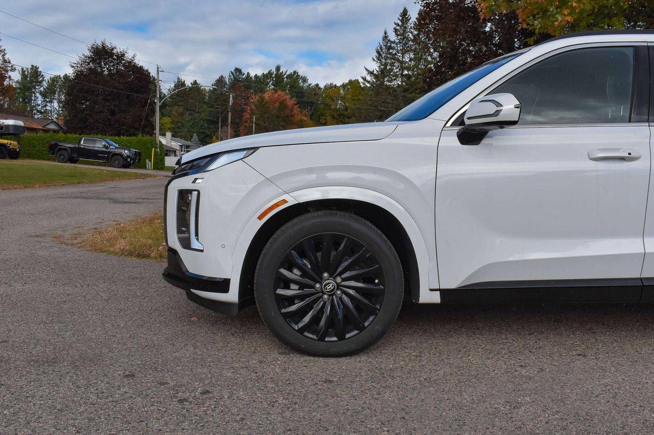 2025 Hyundai PALISADE Ultimate Calligraphy Night Photo2