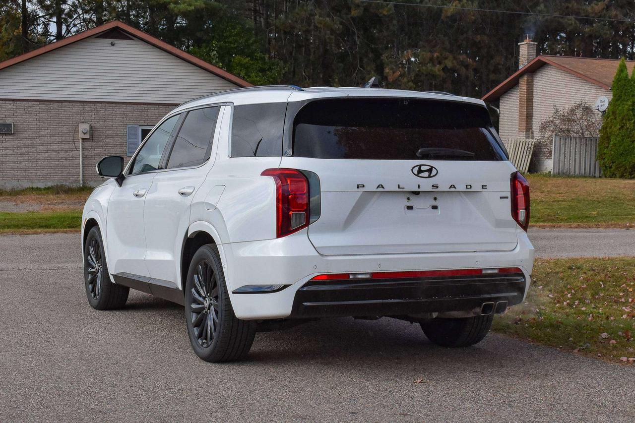2025 Hyundai PALISADE Ultimate Calligraphy Night Photo