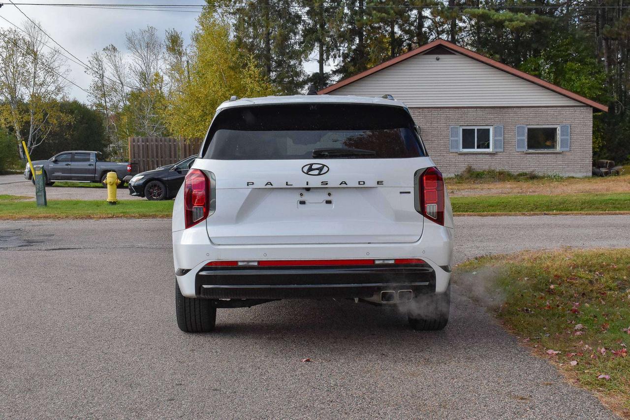 2025 Hyundai PALISADE Ultimate Calligraphy Night Photo