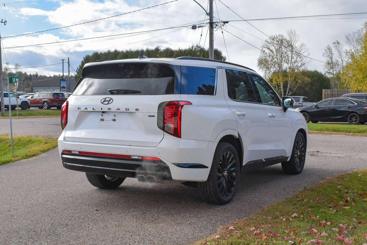 2025 Hyundai PALISADE Ultimate Calligraphy Night Photo