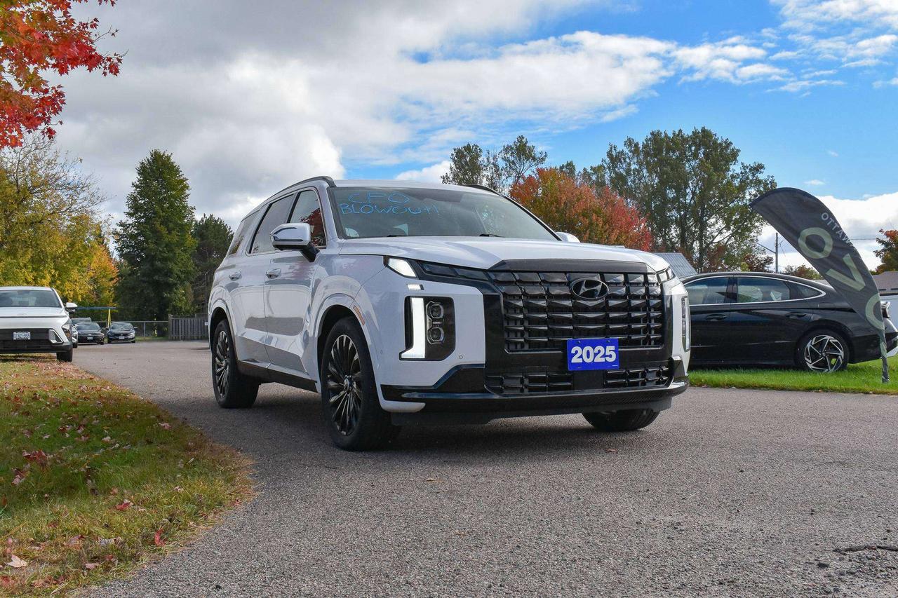 2025 Hyundai PALISADE Ultimate Calligraphy Night Photo