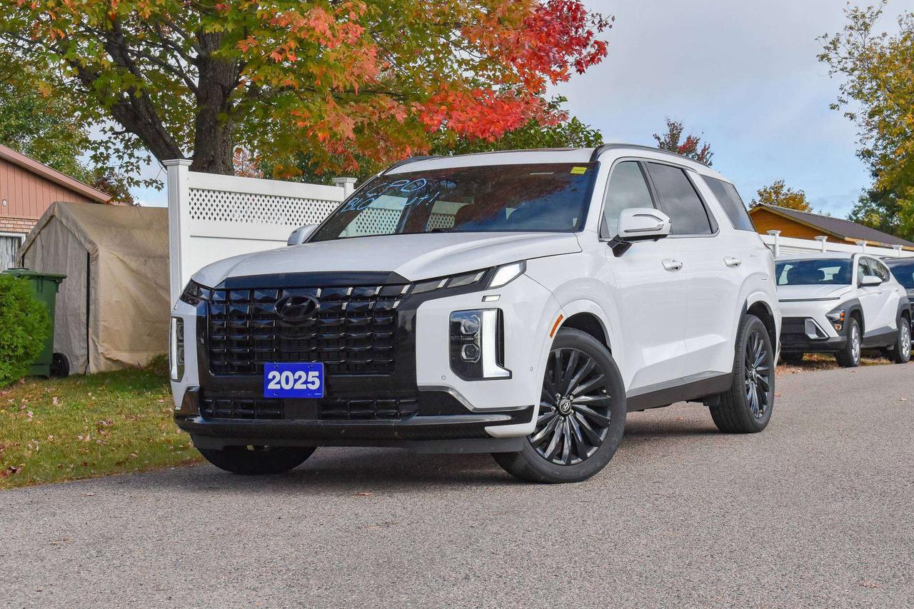 2025 Hyundai PALISADE Ultimate Calligraphy Night Photo0
