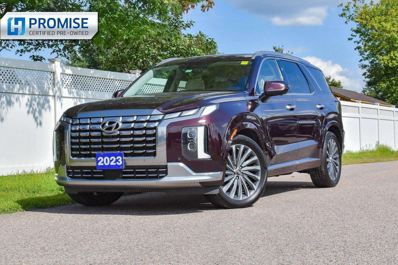 2023 Hyundai PALISADE Ultimate Calligraphy Photo
