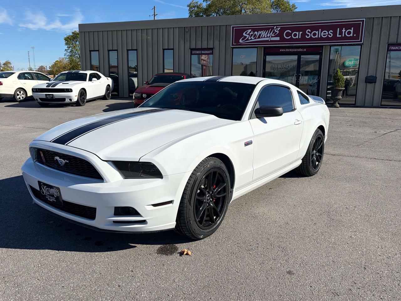 2014 Ford Mustang **CALL NAPANEE 613-354-2100 Photo