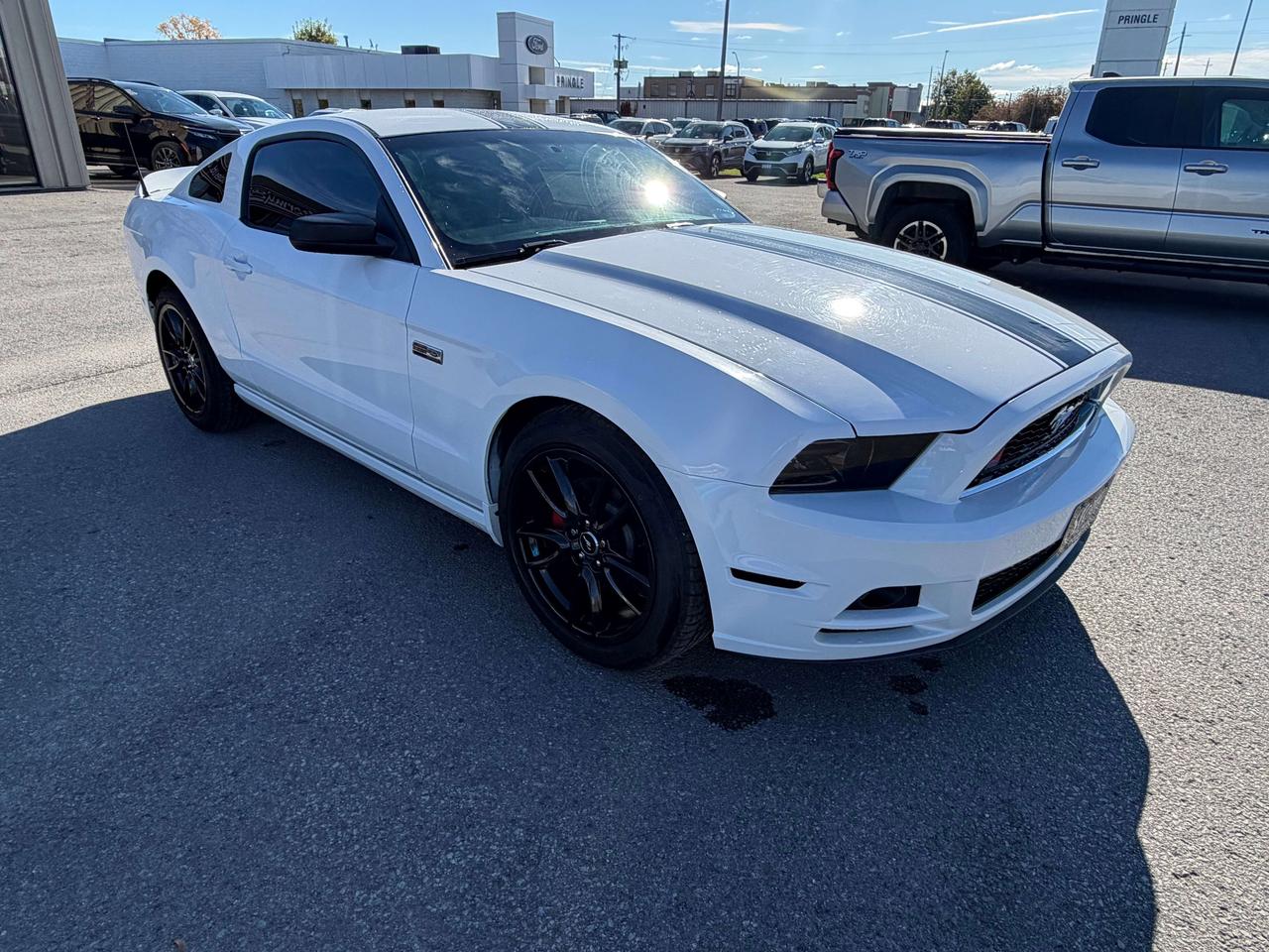 2014 Ford Mustang **CALL NAPANEE 613-354-2100 Photo