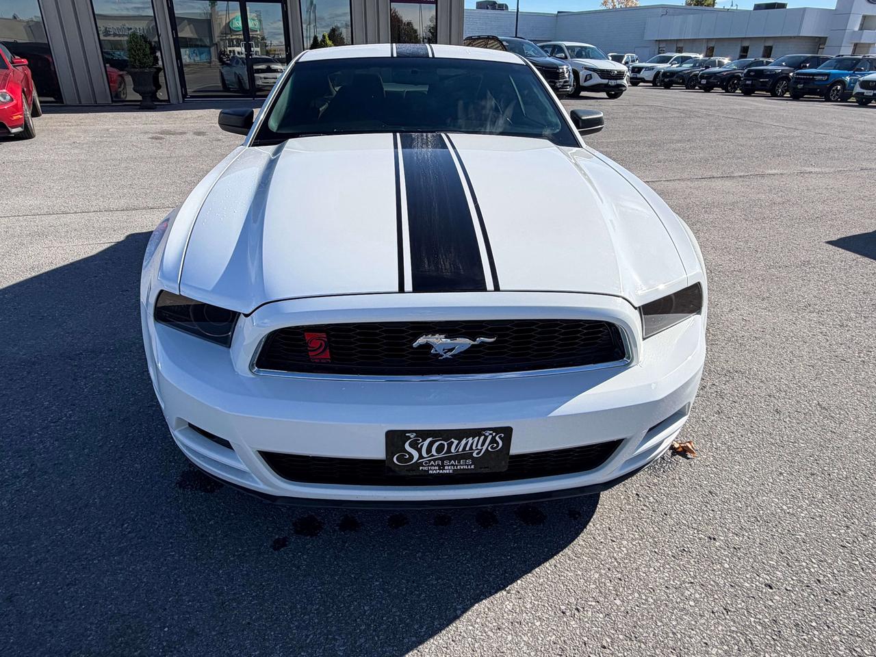 2014 Ford Mustang **CALL NAPANEE 613-354-2100 Photo