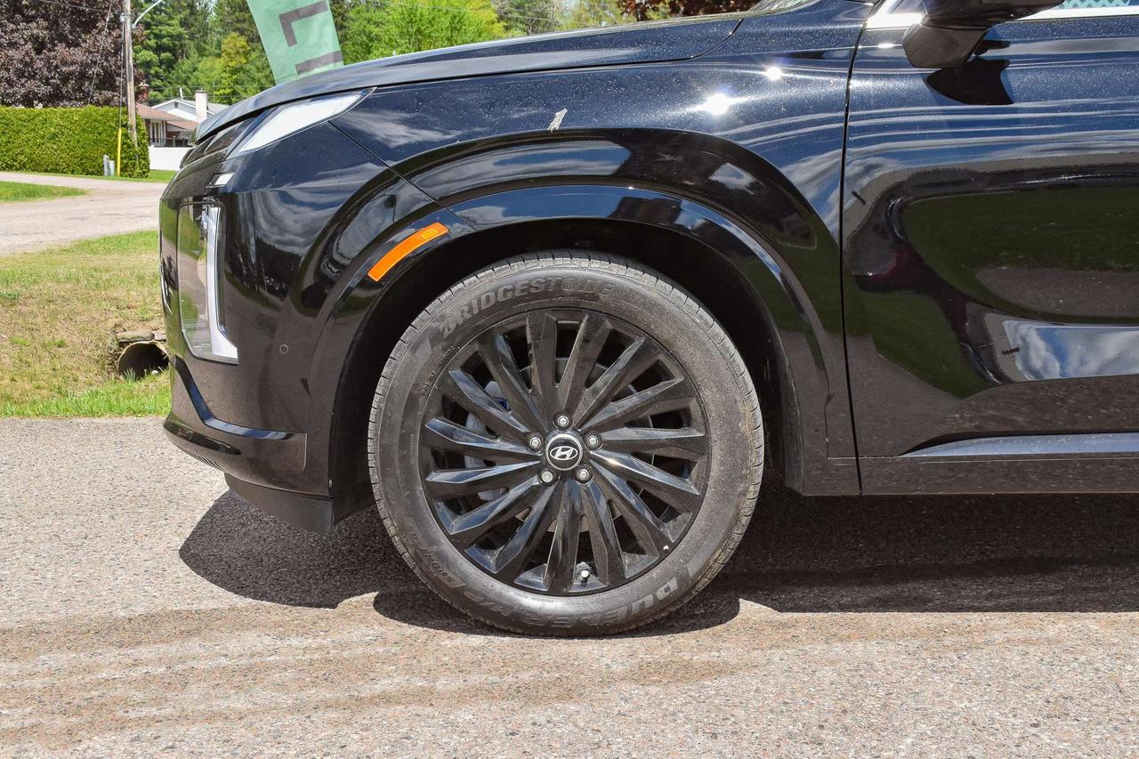2025 Hyundai PALISADE Ultimate Calligraphy Night Photo