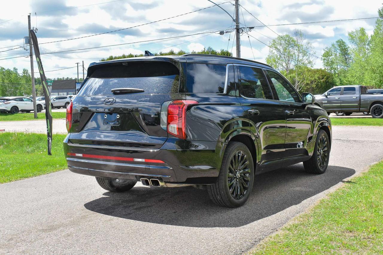 2025 Hyundai PALISADE Ultimate Calligraphy Night Photo