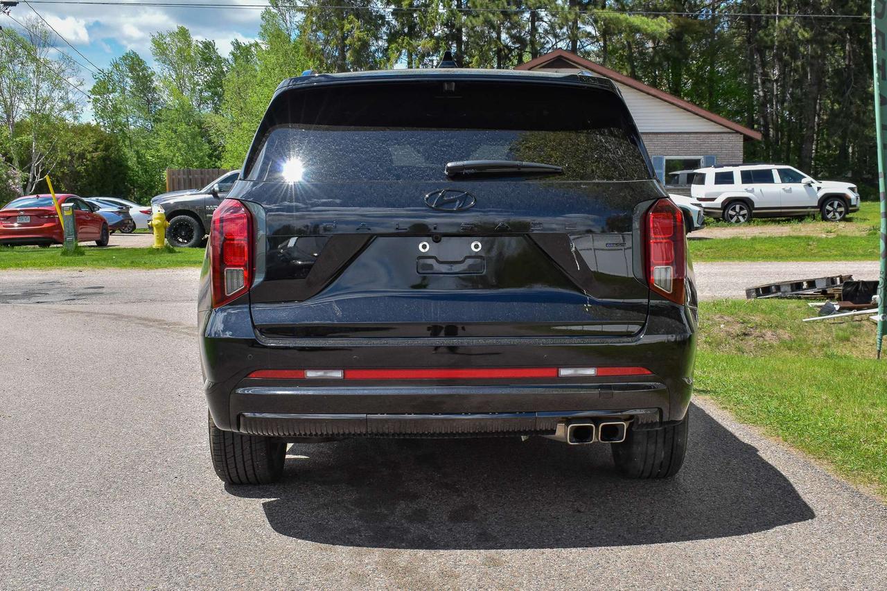 2025 Hyundai PALISADE Ultimate Calligraphy Night Photo