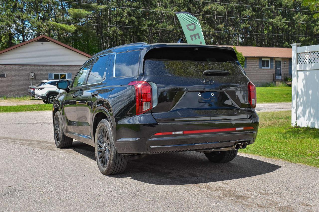 2025 Hyundai PALISADE Ultimate Calligraphy Night Photo
