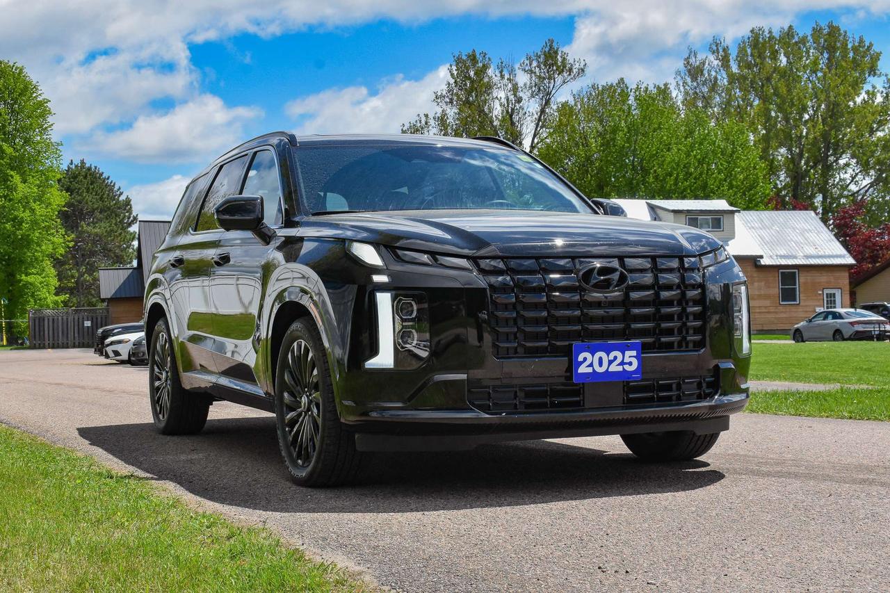 2025 Hyundai PALISADE Ultimate Calligraphy Night Photo