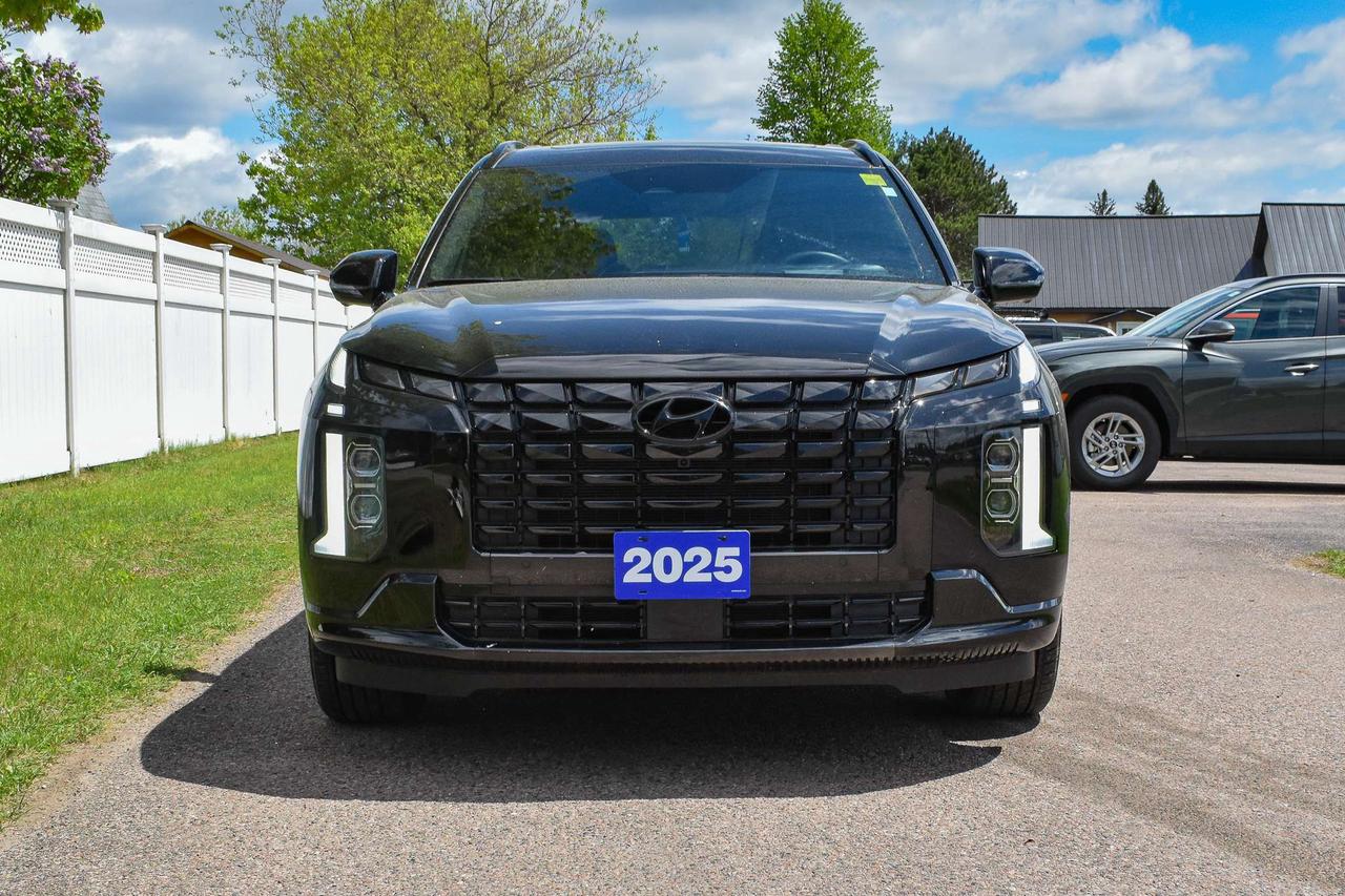2025 Hyundai PALISADE Ultimate Calligraphy Night Photo
