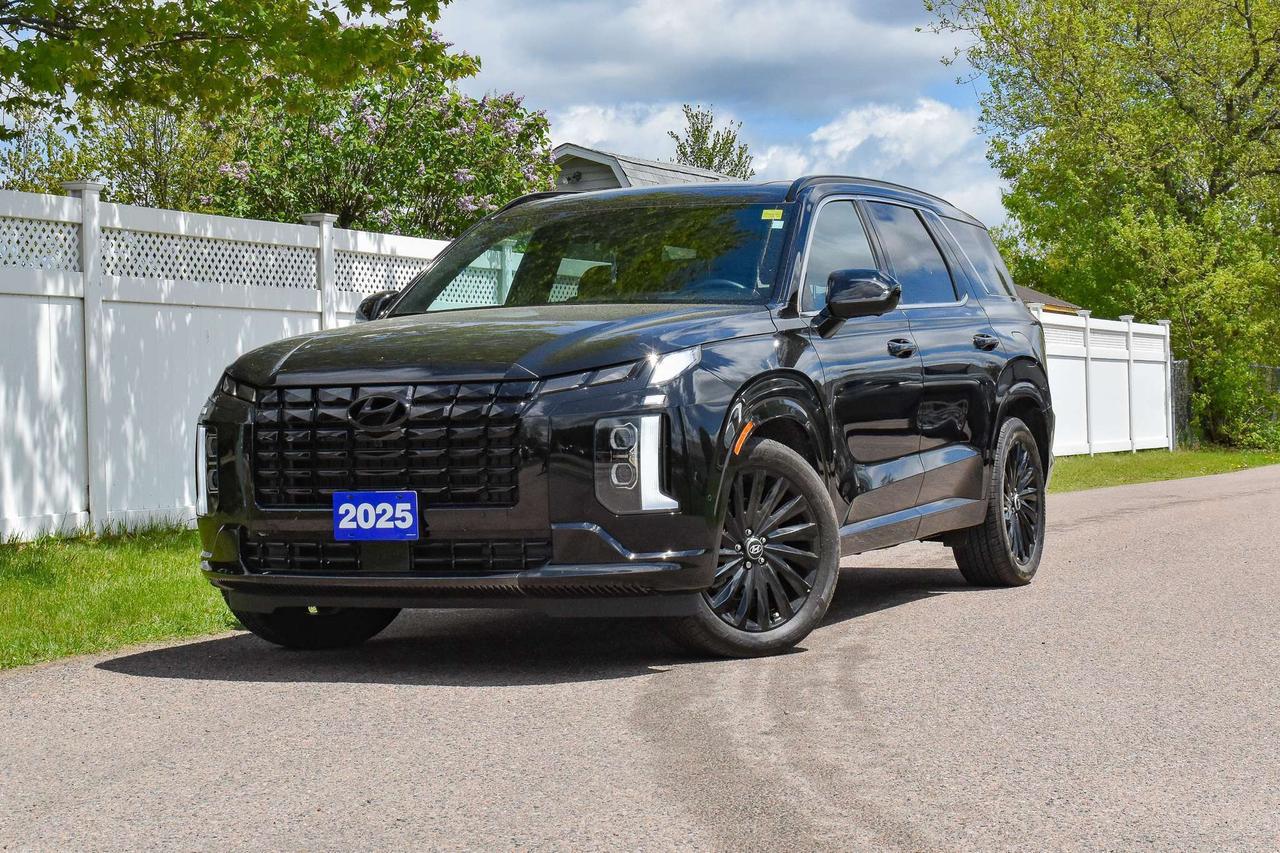 2025 Hyundai PALISADE Ultimate Calligraphy Night Photo