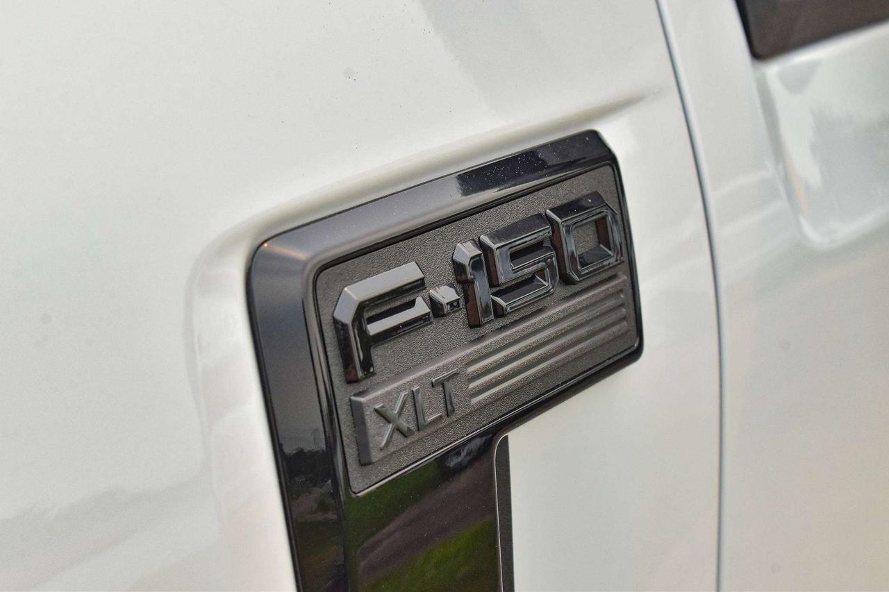 2024 Ford F-150 XLT Photo
