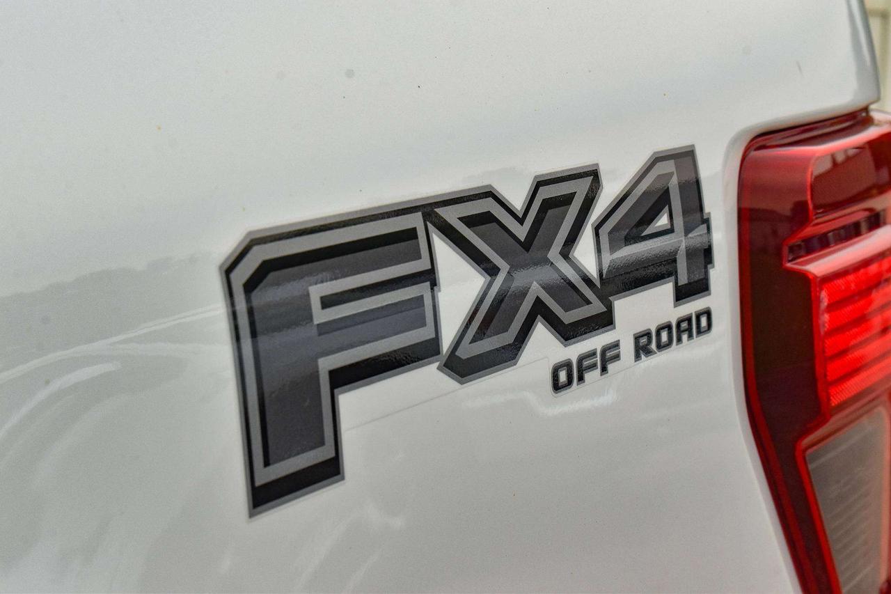 2024 Ford F-150 XLT Photo