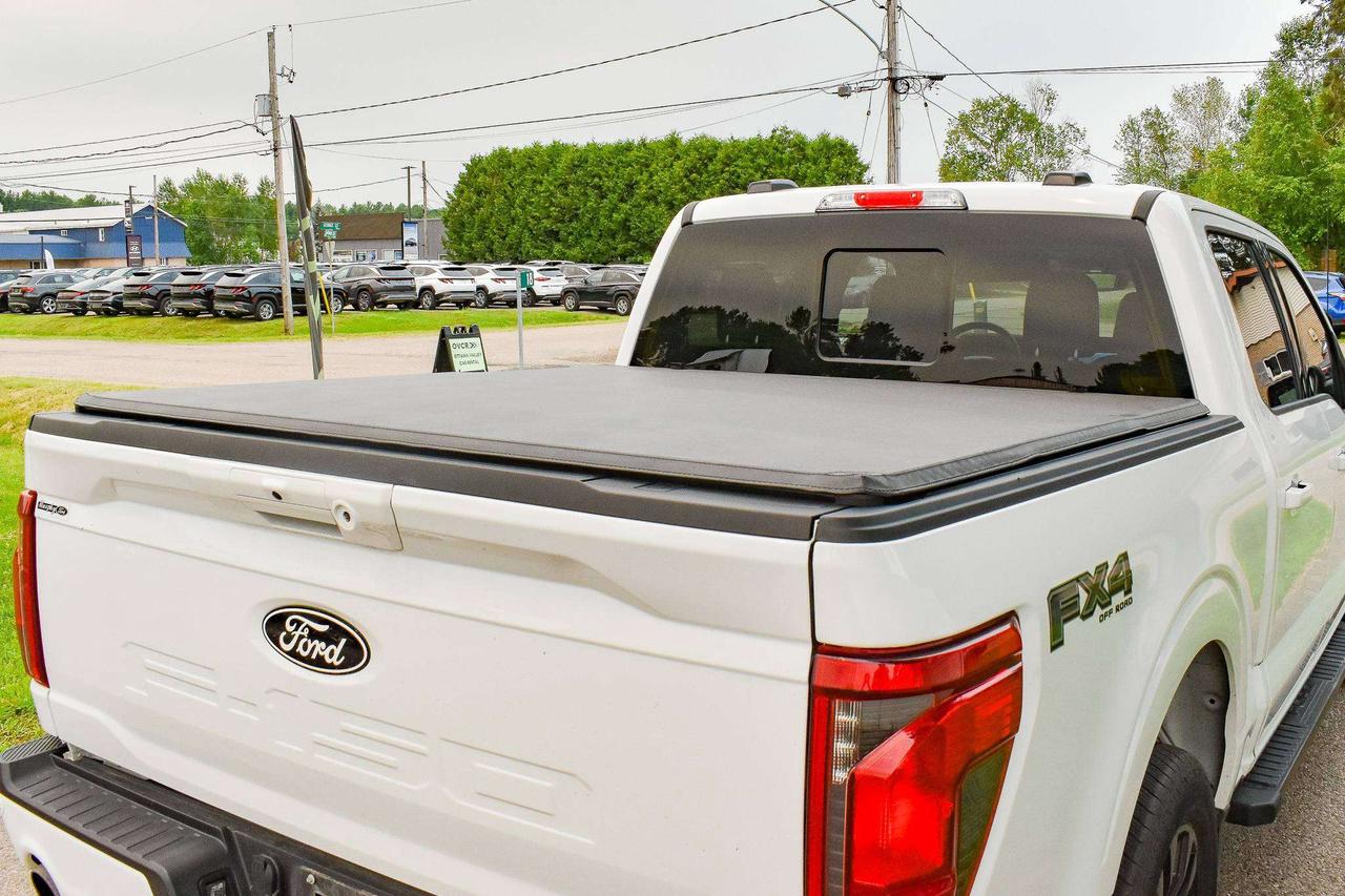 2024 Ford F-150 XLT Photo