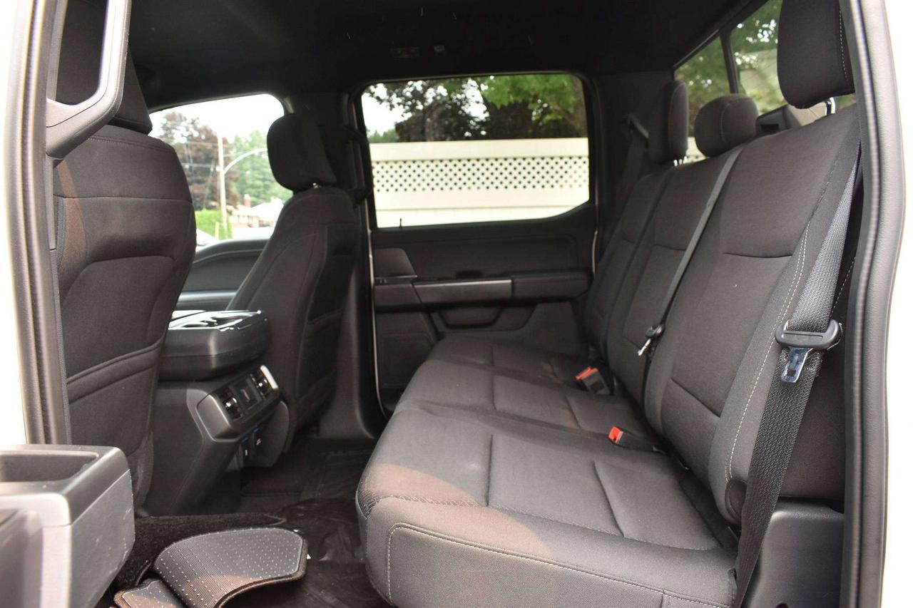 2024 Ford F-150 XLT Photo