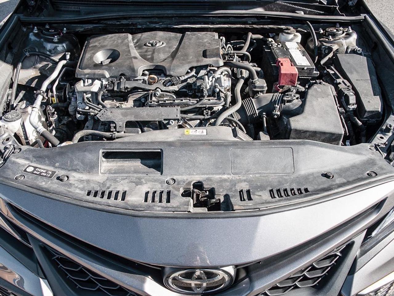 2021 Toyota Camry  Photo