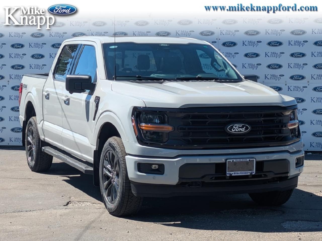 2026 Ford F-150 XLT Photo