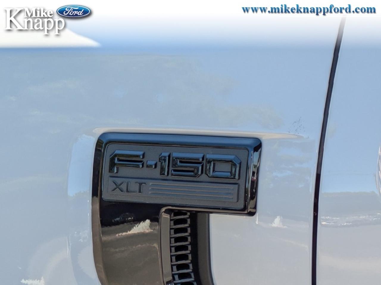 2026 Ford F-150 XLT Photo