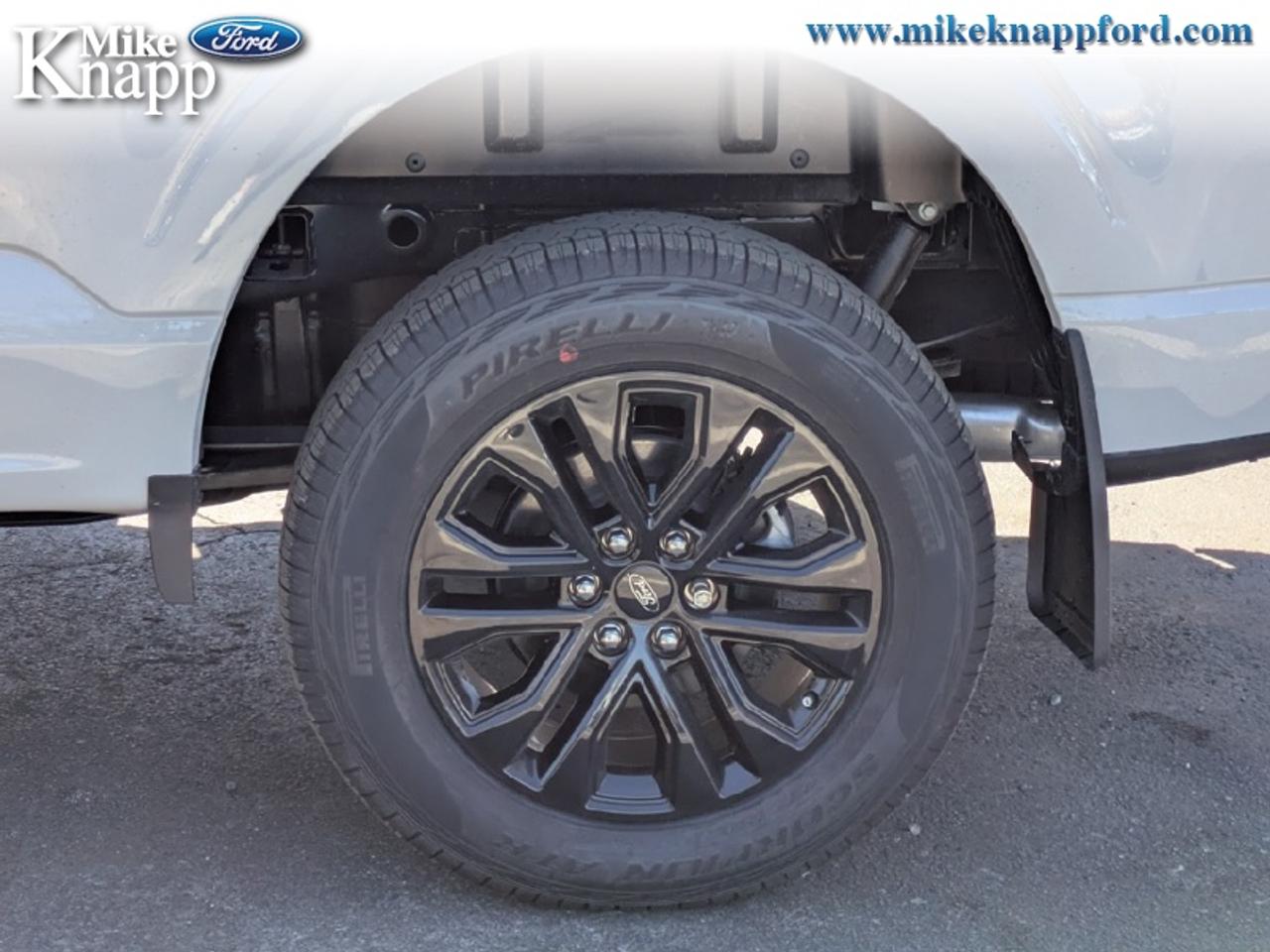 2026 Ford F-150 XLT Photo