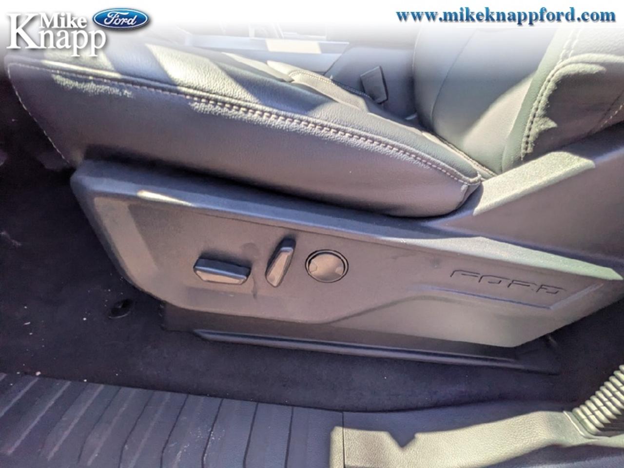2026 Ford F-150 XLT Photo
