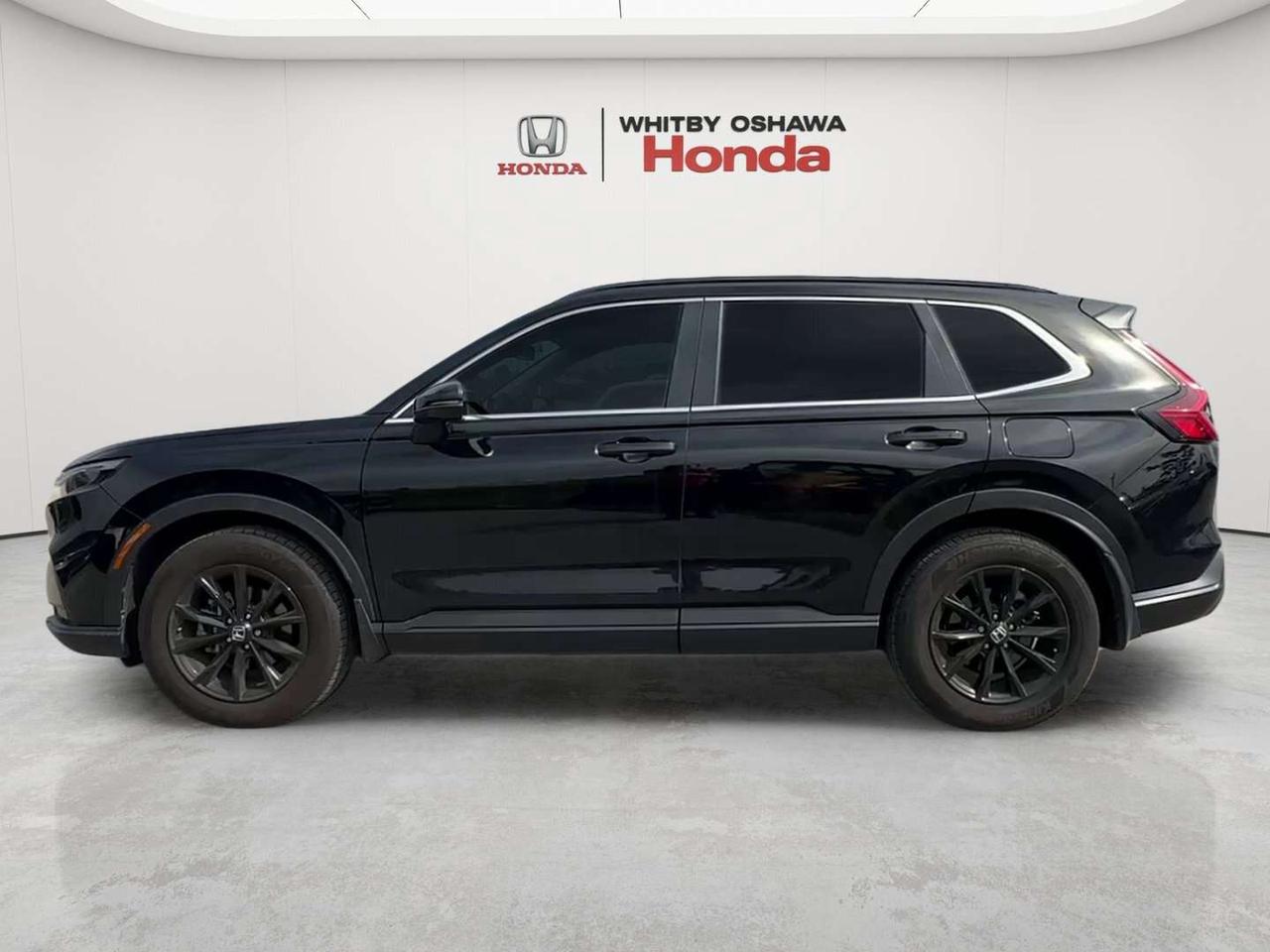 2024 Honda CR-V Sport Photo