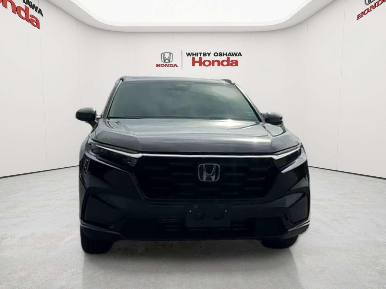 2024 Honda CR-V Sport Photo