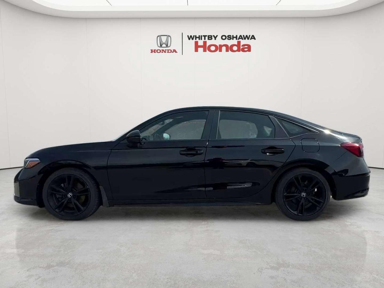 2025 Honda Civic  Photo