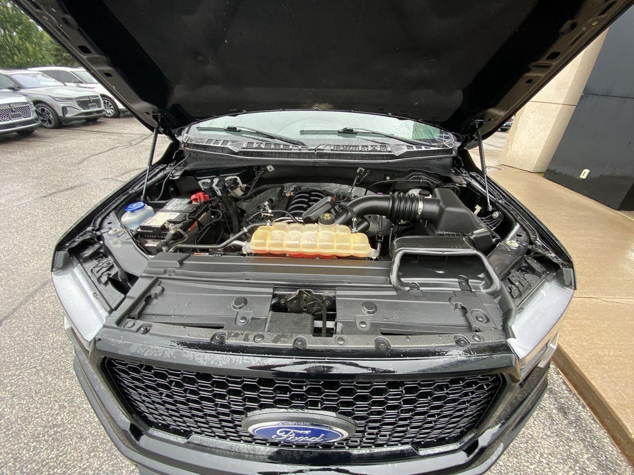 2018 Ford F-150  Photo