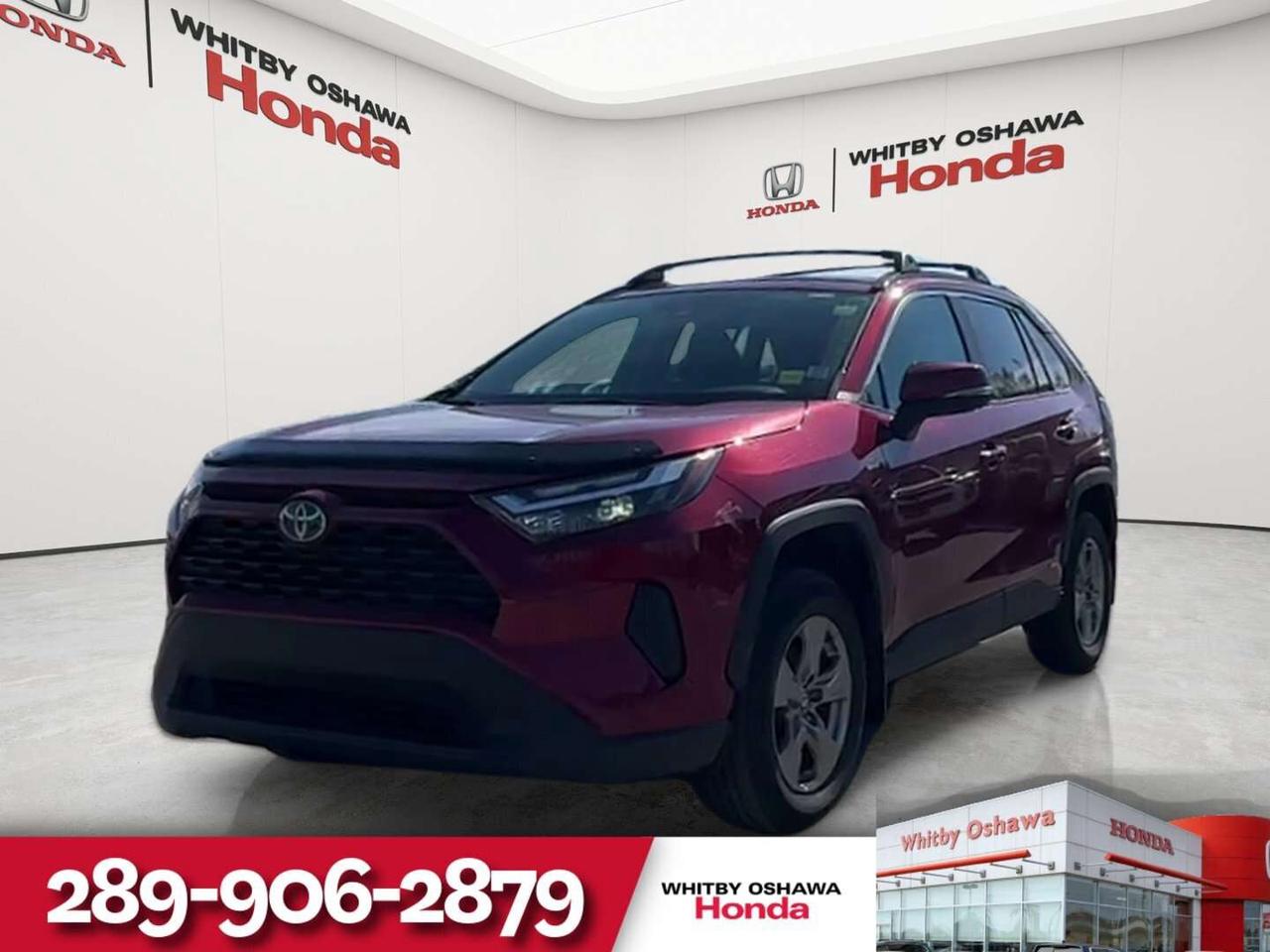 2024 Toyota RAV4 XLE Photo0