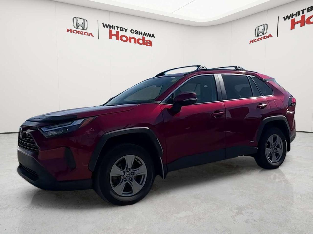 2024 Toyota RAV4 XLE Photo