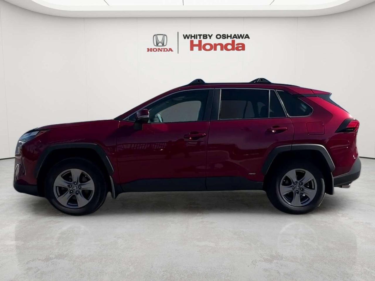 2024 Toyota RAV4 XLE Photo