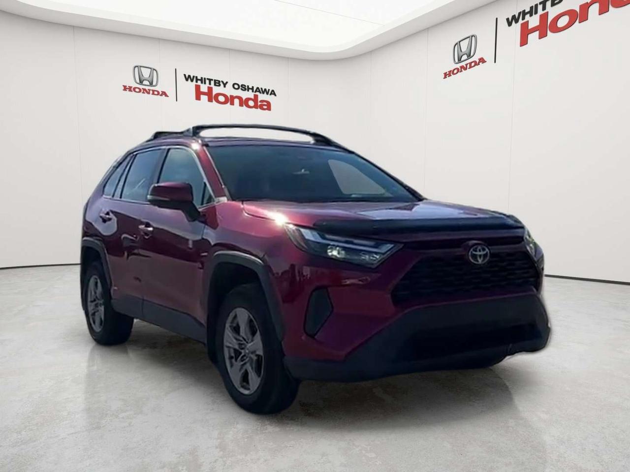 2024 Toyota RAV4 XLE Photo