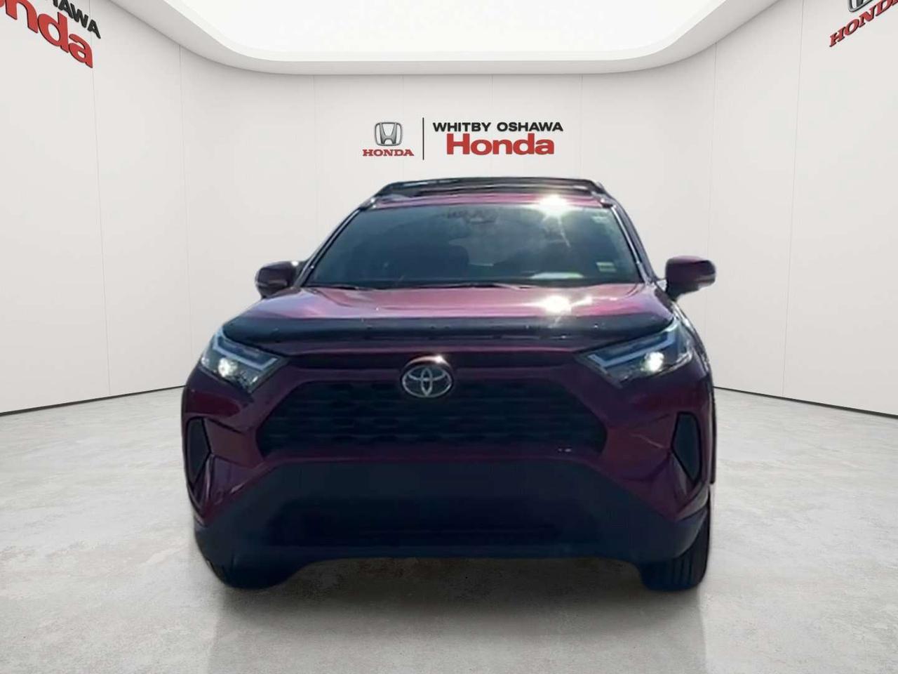 2024 Toyota RAV4 XLE Photo