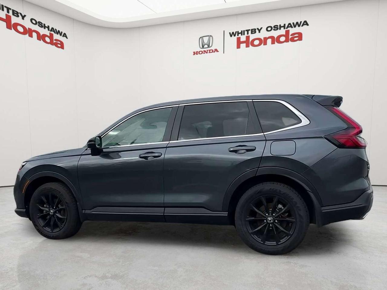 2025 Honda CR-V EX-L Photo