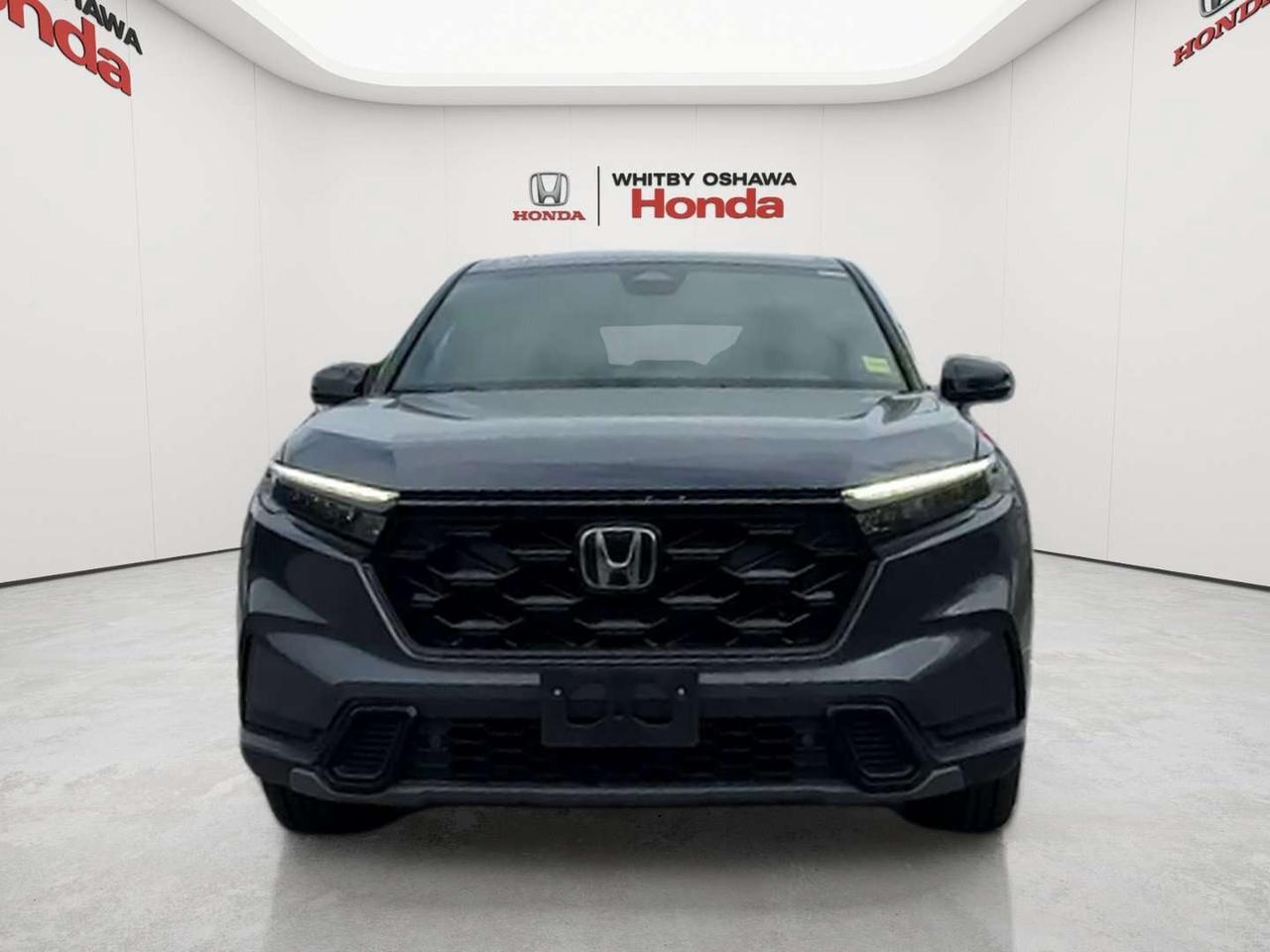 2025 Honda CR-V EX-L Photo