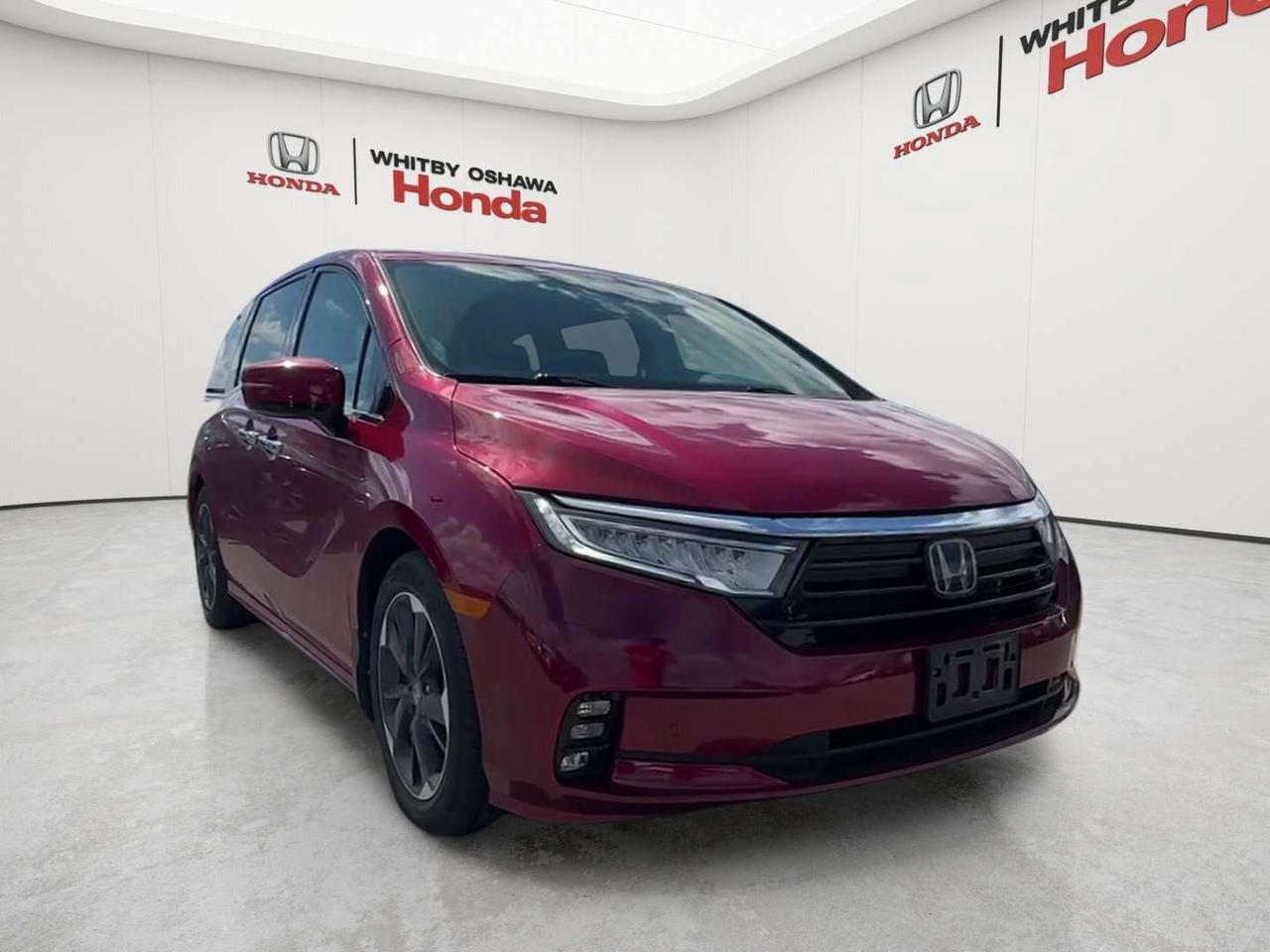 2022 Honda Odyssey Touring Photo