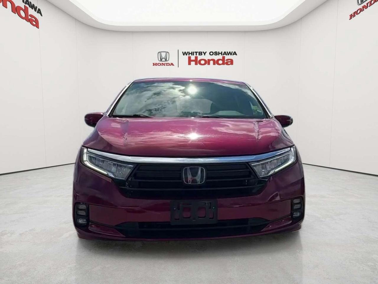 2022 Honda Odyssey Touring Photo