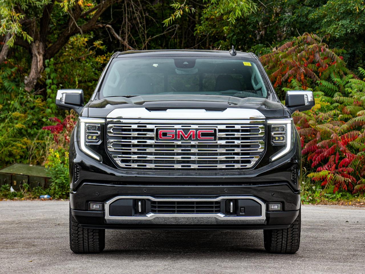 2026 GMC Sierra 1500 Denali Photo