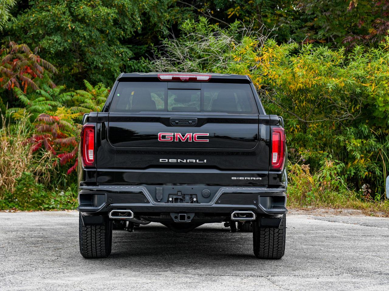 2026 GMC Sierra 1500 Denali Photo