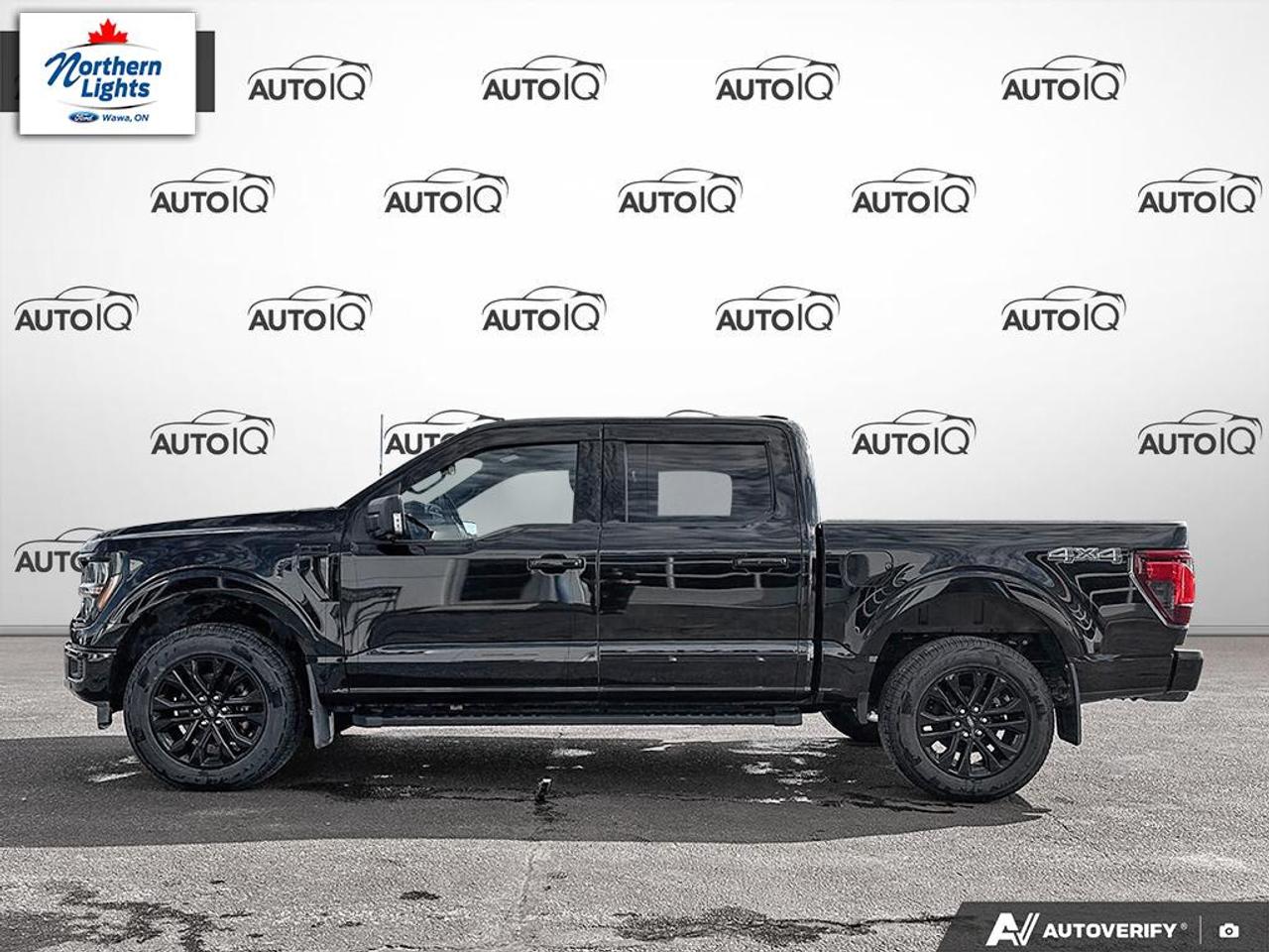 2025 Ford F-150 XLT Photo