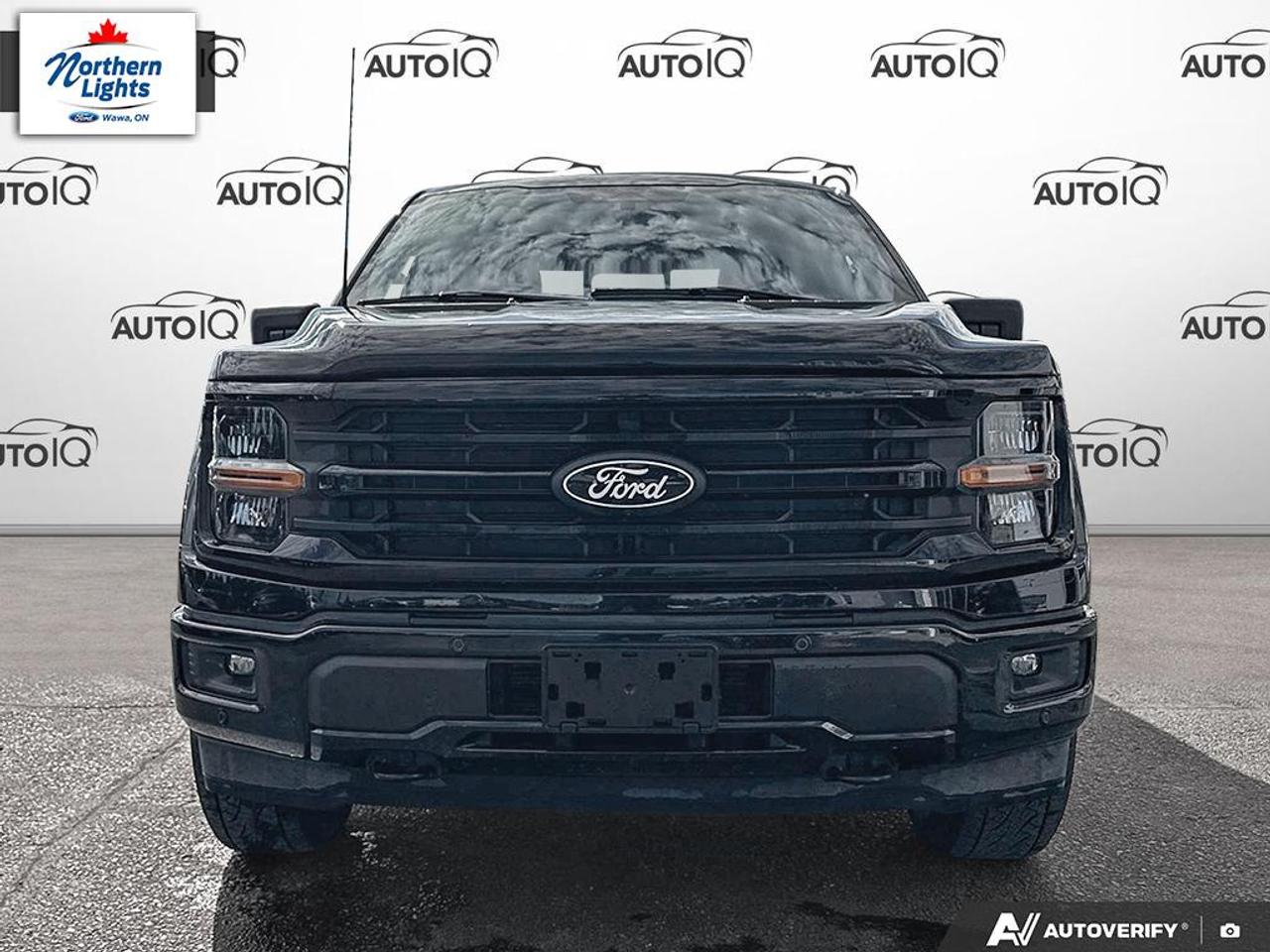 2025 Ford F-150 XLT Photo