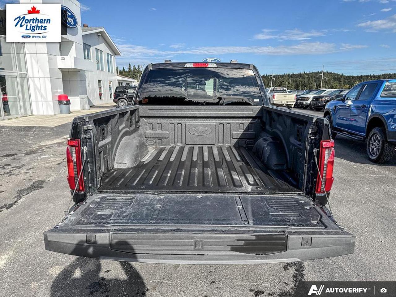 2025 Ford F-150 XLT Photo