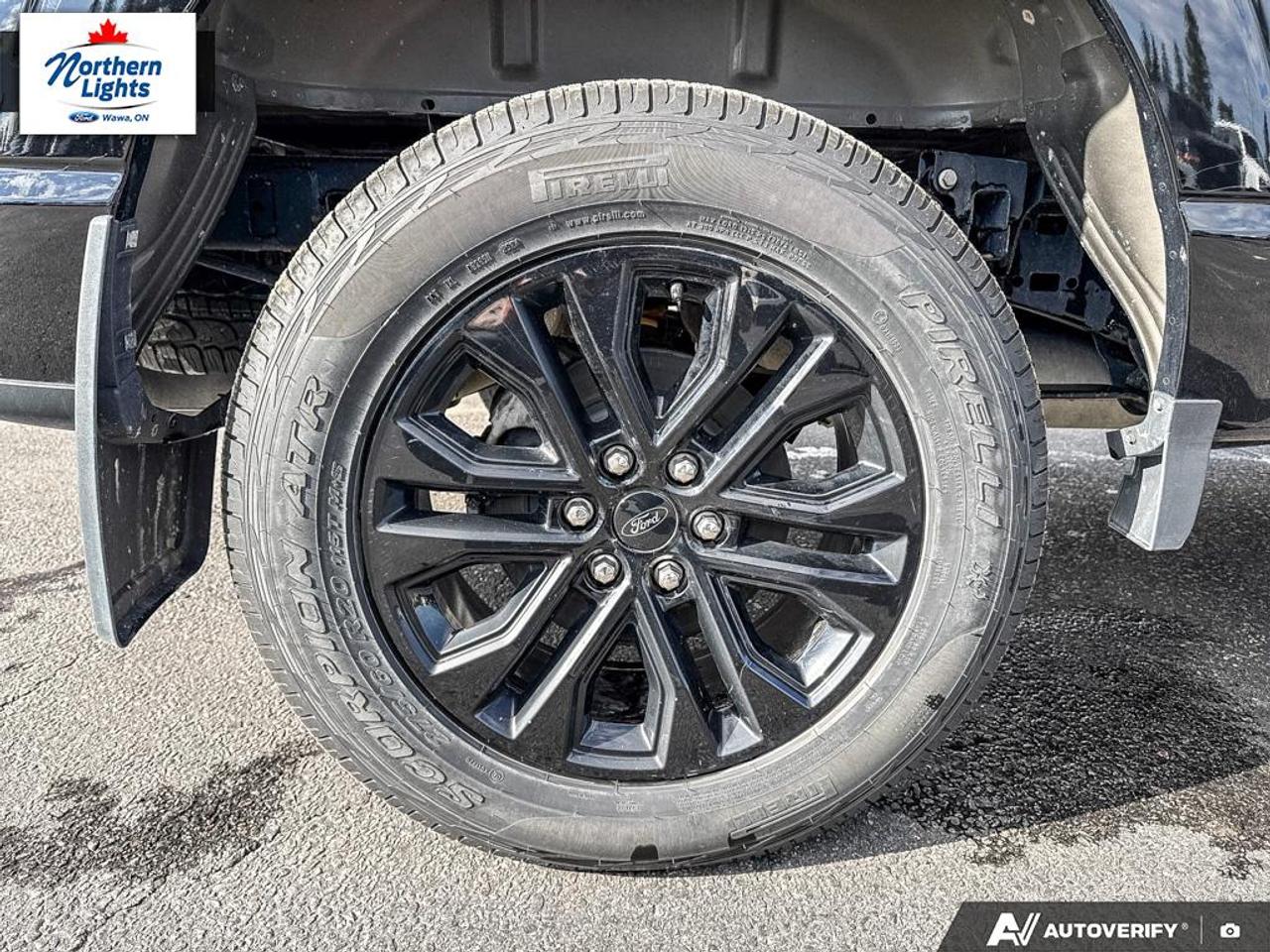 2025 Ford F-150 XLT Photo