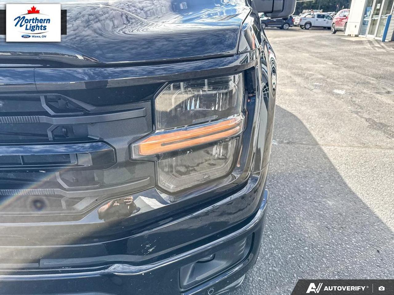 2025 Ford F-150 XLT Photo