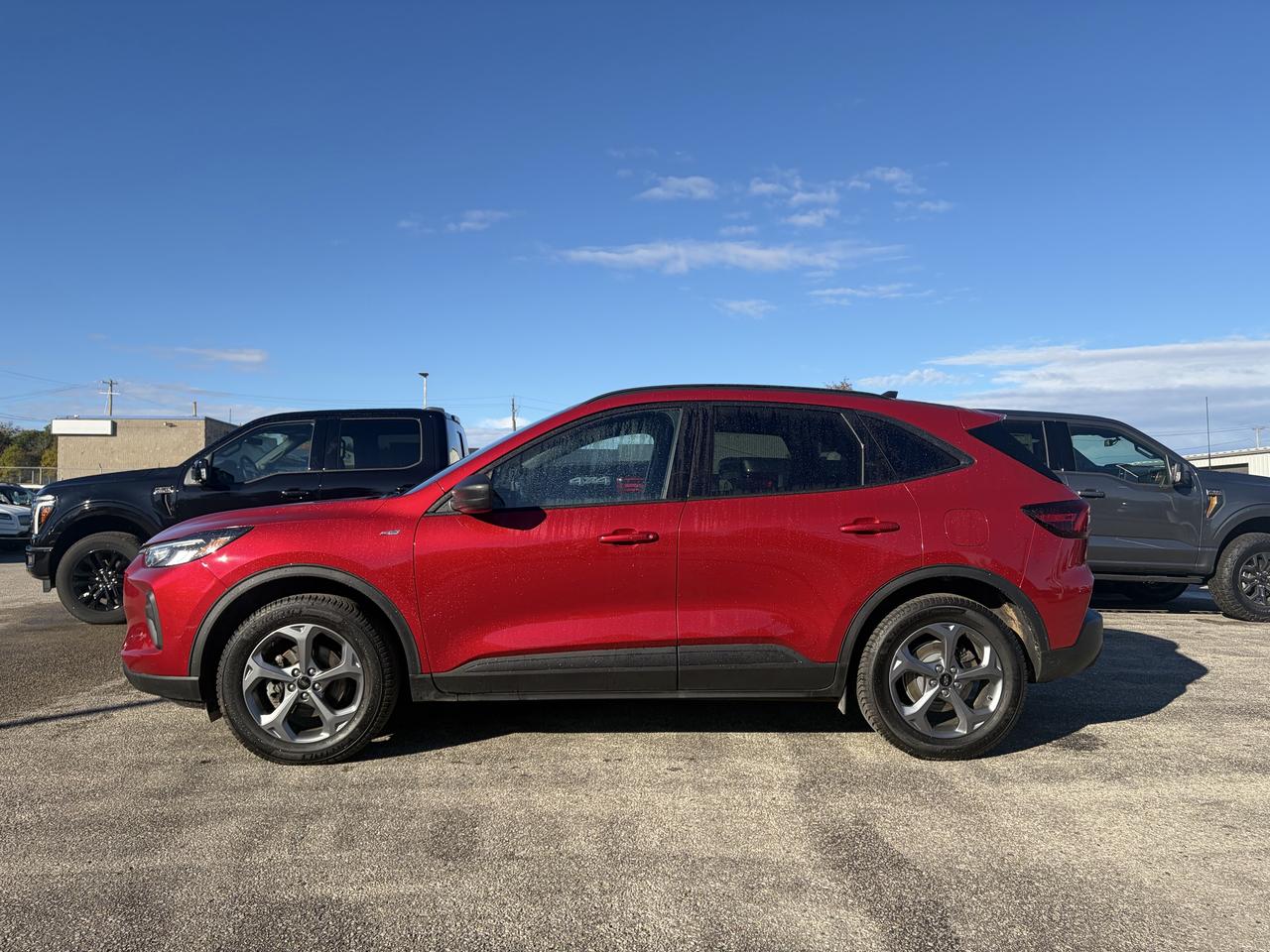 2025 Ford Escape Ford Blue Advantage - ST Line AWD Photo3